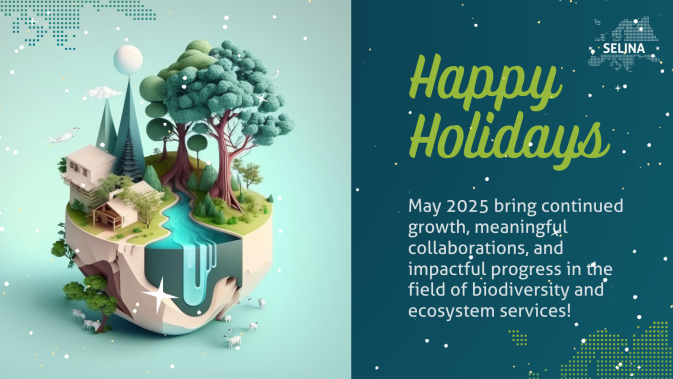 Happy Holidays from the SELINA team
