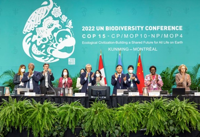 COP15: Setting a new path for biodiversity