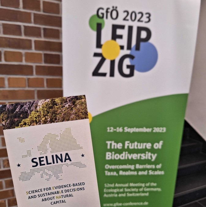 SELINA at the GfÖ Annual Meeting 2023 in Leipzig