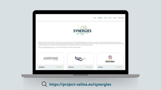 Introducing the 'Synergies' tab: SELINA highlights collaborative efforts with EU-funded projects