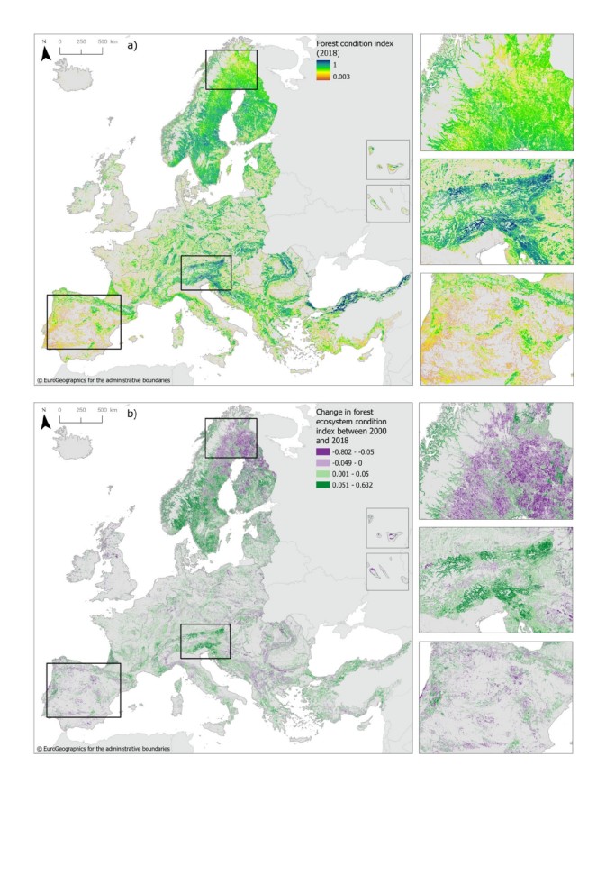 SELINA-supported research paper provides an assessment of the condition of forest ecosystems in Europe