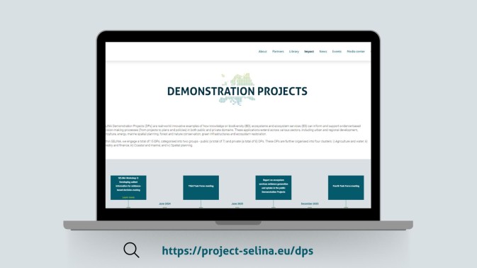Announcing SELINA’s new Demonstration Projects tab
