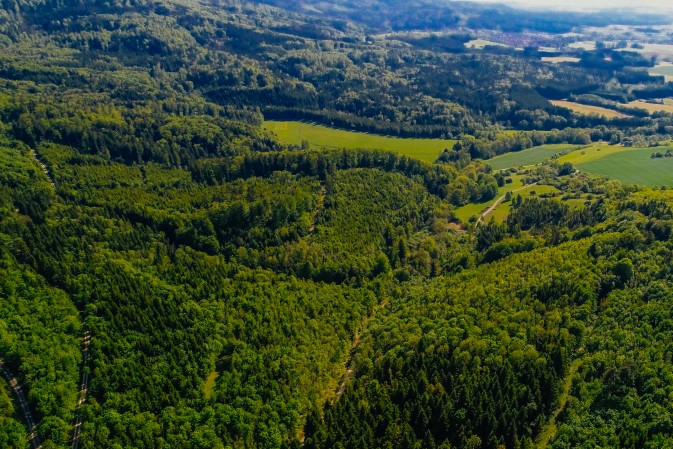 Linking ecosystem condition indicators to ecosystem services - a new SELINA publication
