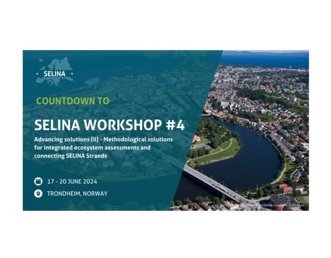 Countdown to SELINA Workshop #4: Just a week to go!