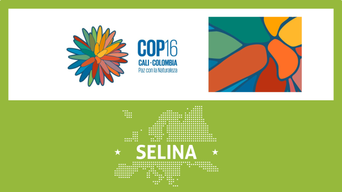 SELINA at COP16 in Cali, Colombia