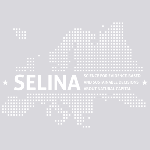 SELINA logo white (full) logo