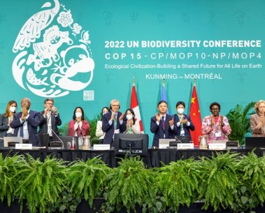 COP15: Setting a new path for biodiversity