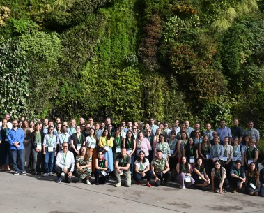 Advancing solutions (I): SELINA gathers members and stakeholders for the second thematic workshop
