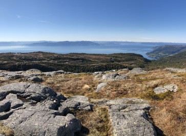 Nature risk screening tools in finance: a review of knowledge gaps in biodiversity metric