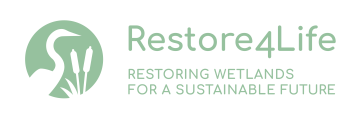 Restore4Life logo
