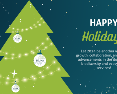 Happy Holidays from all of us at SELINA