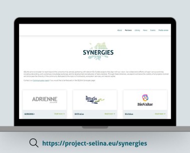 Introducing the 'Synergies' tab: SELINA highlights collaborative efforts with EU-funded projects