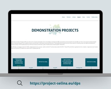 Announcing SELINA’s new Demonstration Projects tab