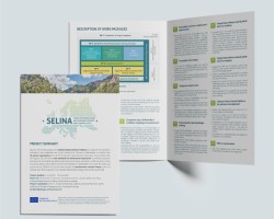 Project Summary (4-Pager) promotional material preview