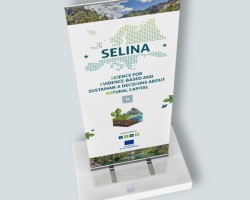 Banner promotional material preview