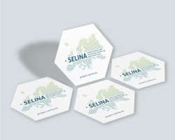 Sticker promotional material preview