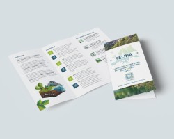 Brochure promotional material preview