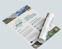 Poster promotional material preview