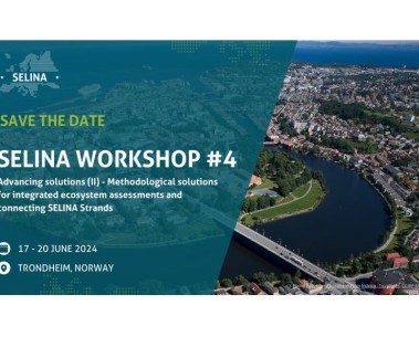 SAVE THE DATE: SELINA Workshop #4 to take place in Trondheim, Norway in June 2024