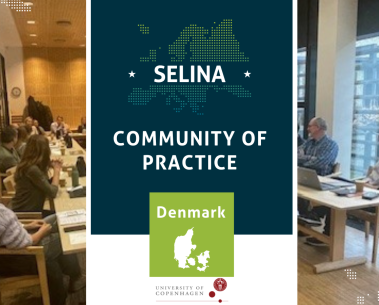 Community of Practice in Denmark: A joint workshop with the Danish Network on Biodiversity and Ecosystem Service