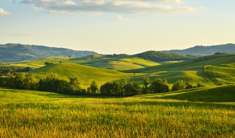 Improved management by increasing synergies between farming activities and ecosystem services provided by agroecosystems to foster biodiversity-based agricultural practices