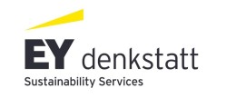 EY denkstatt (DS) logo