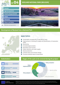 The Bosland Forest Project