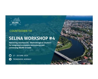 Countdown to SELINA Workshop #4: Just a week to go!