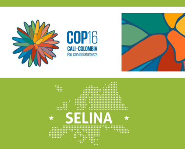 SELINA at COP16 in Cali, Colombia