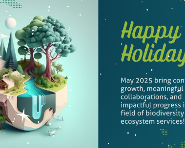 Happy Holidays from the SELINA team