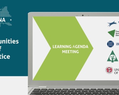 Reflecting on Three Years of Learning: Insights from the SELINA CoP Community