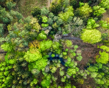 New SELINA publication introduces the Framework for Integrated Ecosystem Assessment